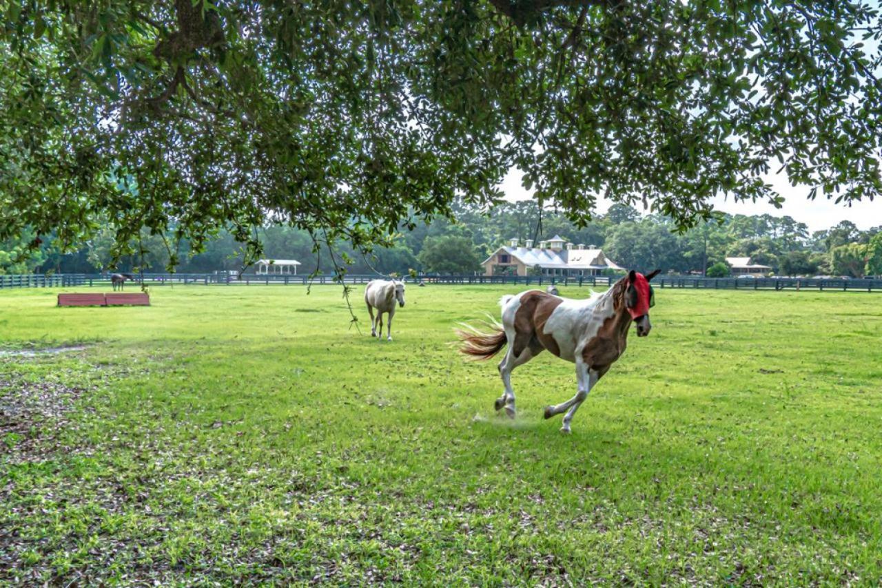 Pet Friendly! 503 Plantation Club Walk To Pool Sleeps 6 Sea Pines Villa Hilton Head Island Eksteriør bilde